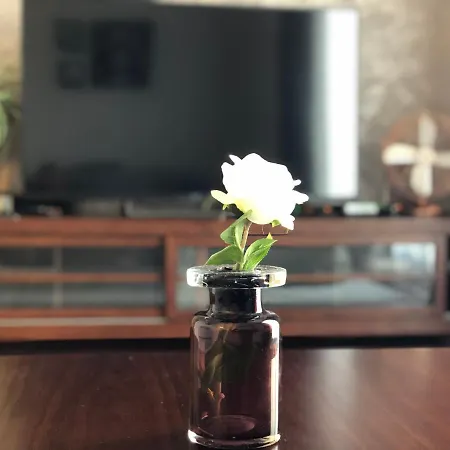 Appartement Koszykowa Latwiec Srodmiescie Poludniowe